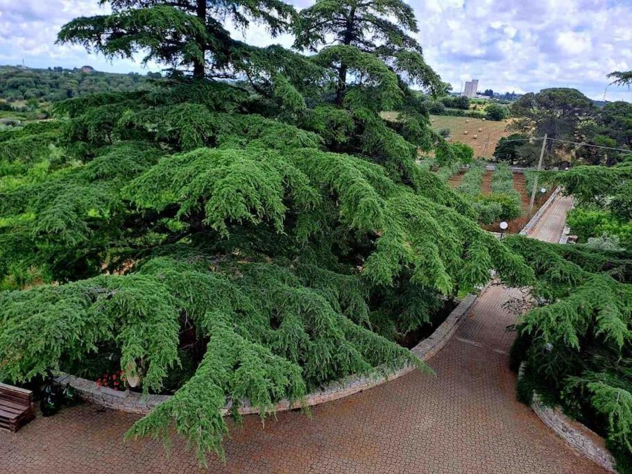 푸티냐노 Casina Foggia Dell'Albero 아파트 외부 사진