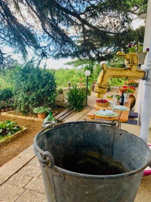 푸티냐노 Casina Foggia Dell'Albero 아파트 외부 사진