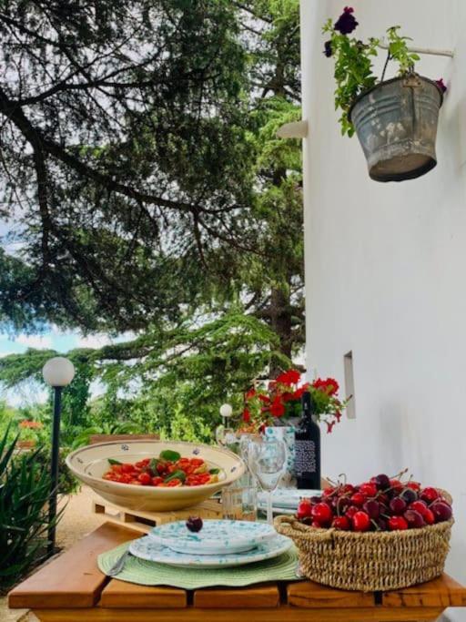 푸티냐노 Casina Foggia Dell'Albero 아파트 외부 사진